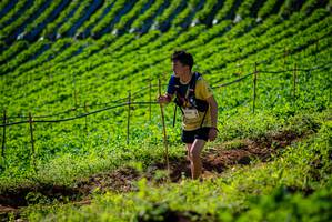 BIB: 900
                            <button type="button" onclick="openModal(19160584)" class="btn btn-primary btn-sm float-right btn-popup" data-toggle="modal" data-target=".modal-high-quality">
                        <i class="fas fa-shopping-cart"></i> Add to Cart
                    </button>
                                            <button type="button" onclick="isThisMe(19160584, true)" class="btn btn-success btn-sm float-right btn-popup btn-isme hidden" data-toggle="tooltip" data-placement="bottom" title="นี่คือรูปของคุณใช่ไหม คลิกที่นี่เพื่อเอาเข้าอัลบั้ม">
                        <i class="fas fa-plus"></i> Add to album
                    </button>
                    <button type="button" onclick="isThisMe(19160584, false)" class="btn btn-warning btn-sm float-right btn-popup btn-isnotme hidden">
                        <i class="fas fa-ban"></i> Remove from album
                    </button>